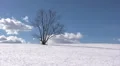 Winter scene HD Footage
