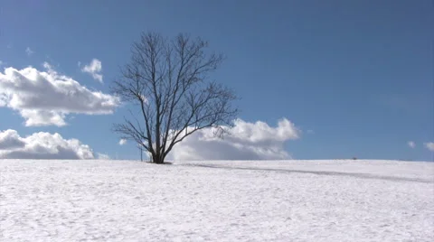  Winter scene 스톡 동영상 2456638