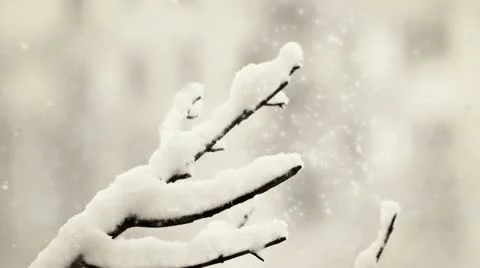 Winter scene Stock Footage 21000339