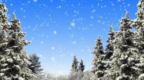 Winter Scene Stock Footage 32532877
