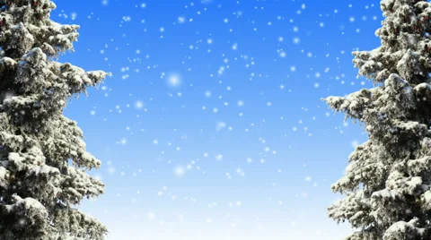Winter Scene Stock Footage 32599843
