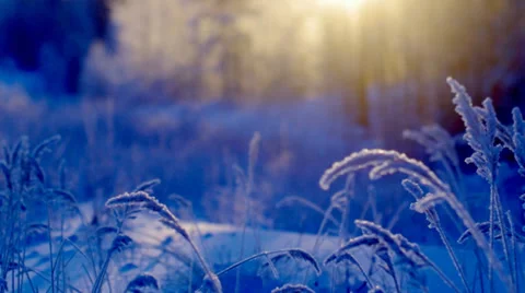 Winter scene Stock Footage 33581626