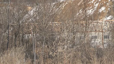 Winter Scene Stock Footage 74870085