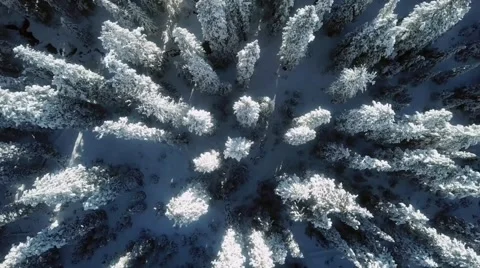 A winter scene with forests, trees covered in snow. Stock Footage 255934917