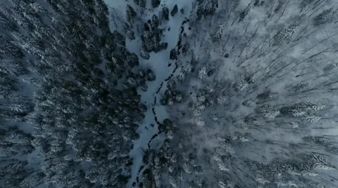A winter scene with forests, trees covered in snow. Stock Footage 255935022