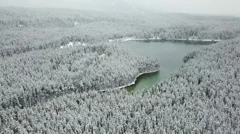 A winter scene with forests, trees covered in snow. Stock Footage 255935241