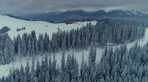 A winter scene with forests, trees covered in snow. Stock Footage 255935245