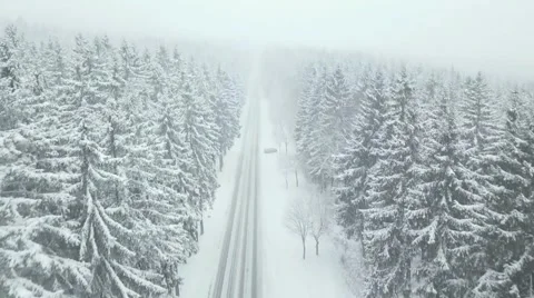 A winter scene with forests, trees covered in snow. Stock Footage 255937694