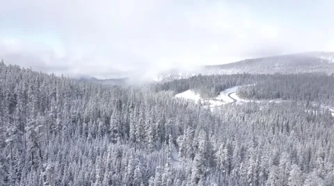 A winter scene with forests, trees covered in snow. Stock Footage 255937939