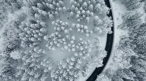 A winter scene with forests, trees covered in snow. Stock Footage 255938210