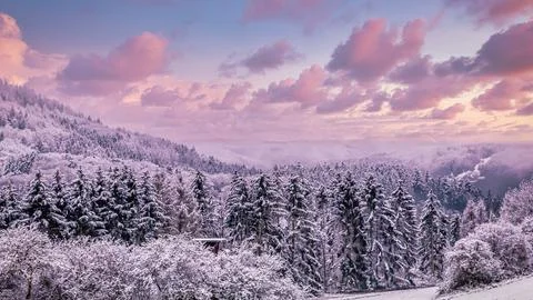 A winter scene with forests, trees covered in snow. Stock Photos
