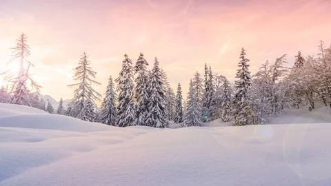 A winter scene with forests, trees covered in snow. Stock Photos