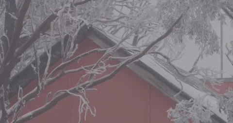 Winter Scene with Frozen Branches and House Roof In Background 스톡 동영상 332588080