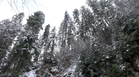 Winter Scene, High Mountains, Waterfall, Winter Season Stock Footage 956916