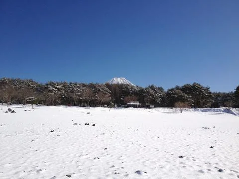 Winter scene in japan Stock Photos