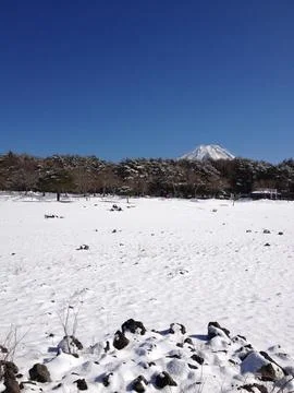 Winter scene in japan Stock Photos