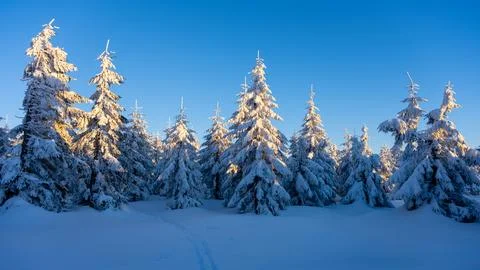 Winter Scene in Jizera Mountains Stock Photos