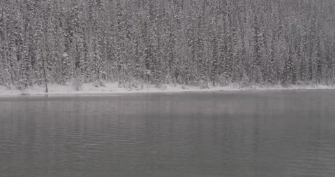 Winter scene of a lake and a pine tree forest covered with snow Stock Footage 150487945