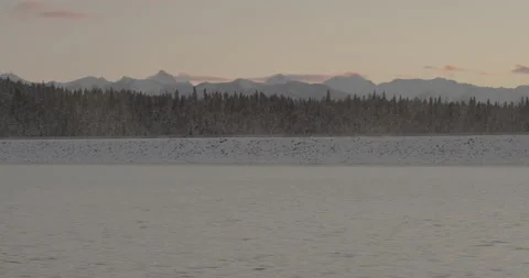 Winter scene of a lake, pine tree forest and mountain range in the background Stock Footage 150490148