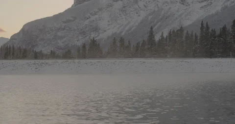 Winter scene of a lake, pine tree forest and mountain range in the background Stock Footage 150490260