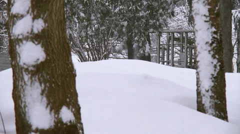 Winter Scene Landscape 動画素材 33521272