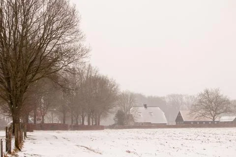 Winter scene, meadows, a path with trees and a farm in the background Stock Photos