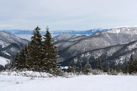 Winter scene in mountains Foto stock