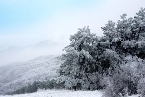 Winter scene in mountains Stock Photos