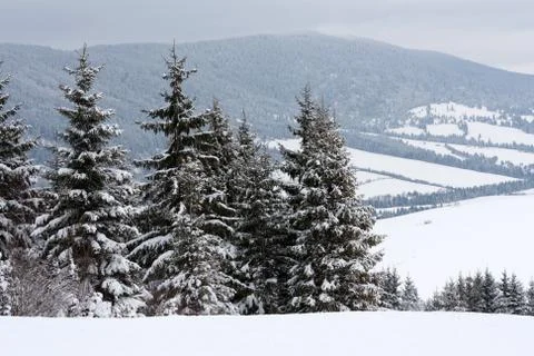 Winter scene in mountains Stock-Fotos