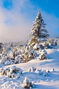 Winter scene in mountains Stock Photos