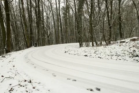 Winter scene in nature. Stock Photos