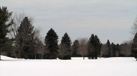 Winter Scene Pan Stock Footage 57719229