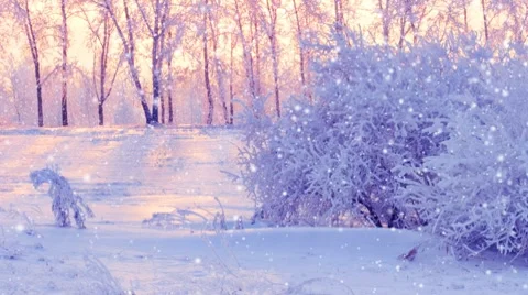 Winter scene in park panning Stock Footage 8679133