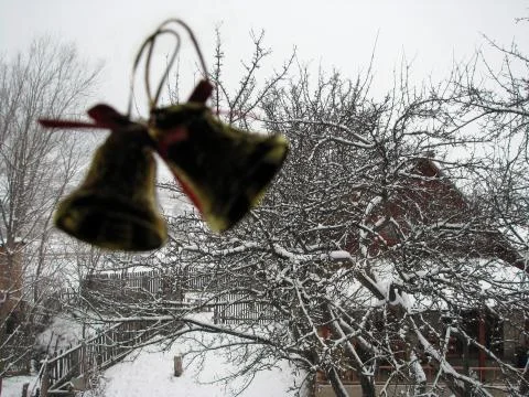 Winter scene Stock Photos