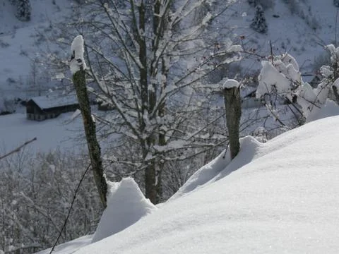 Winter Scene Stock Photos