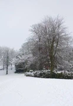 Winter scene Stock Photos