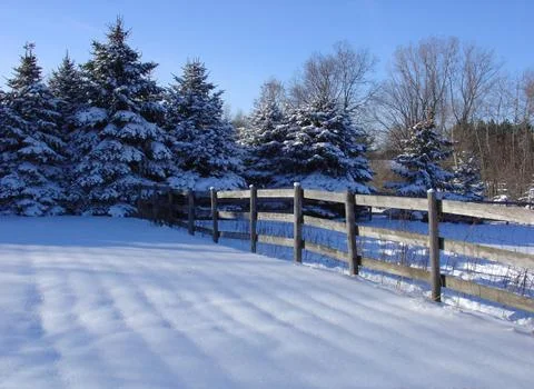 Winter Scene Stock Photos