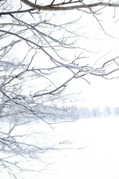 Winter scene Stock Photos