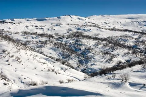Winter scene Foto stock
