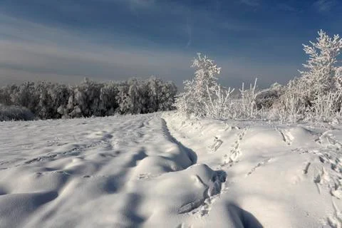 Winter scene Stock Photos