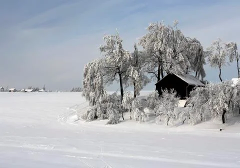 Winter scene Stock Photos