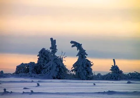 Winter scene Stock Photos