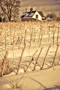 Winter scene Stock Photos