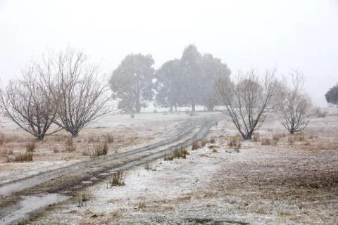 Winter Scene Stock Photos