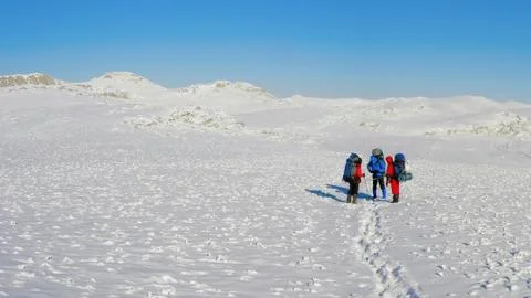 Winter scene Foto stock