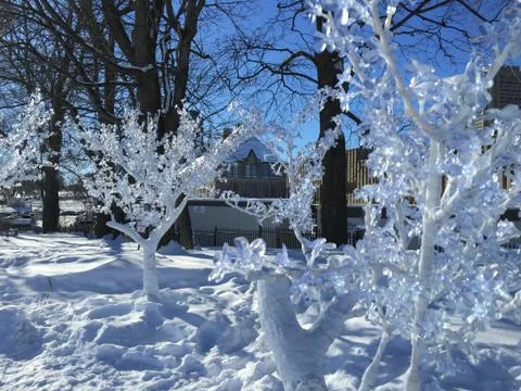 Winter scene 스톡 사진