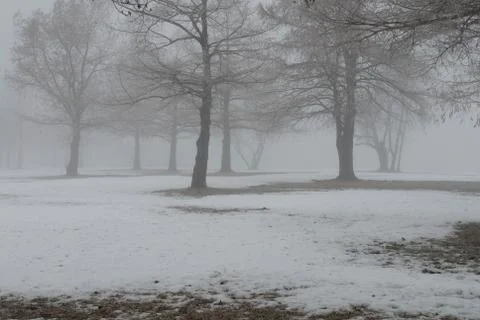 Winter Scene Stock Photos