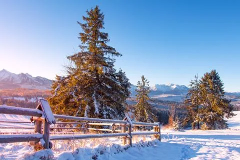 Winter scene Stock Photos