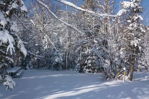 Winter Scene Foto stock