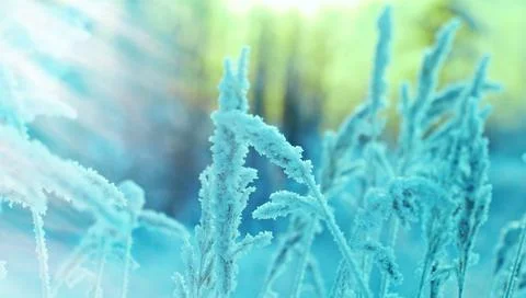 Winter scene Foto stock